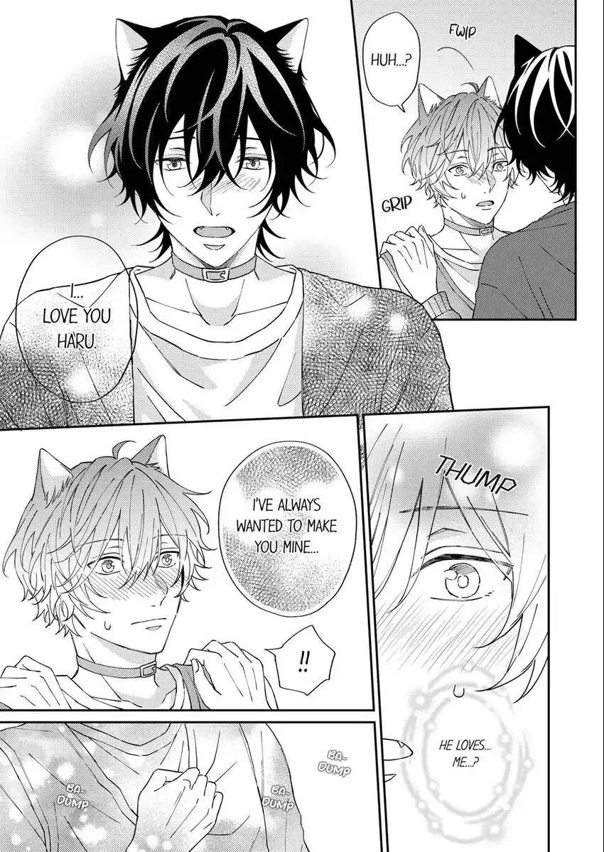 Haru To Rui No Nyanderful Love Life! - Chapter 8