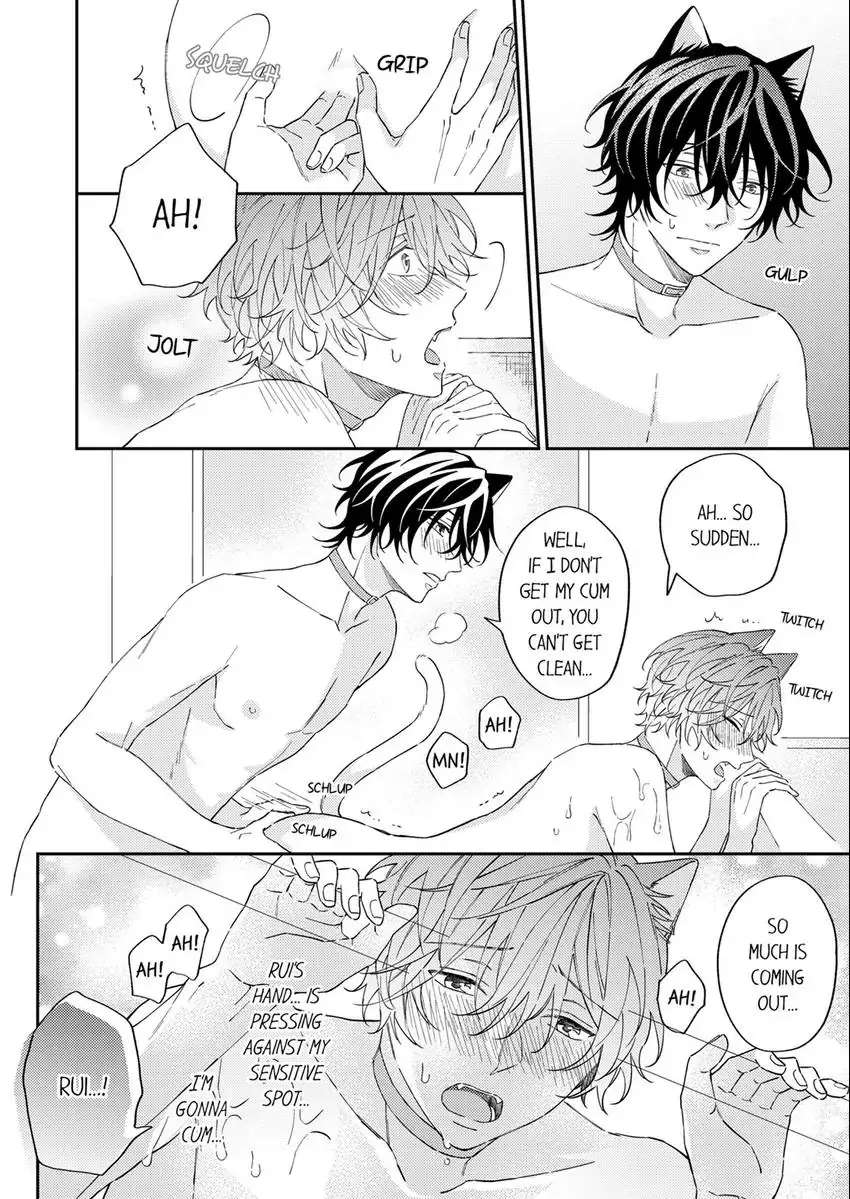 Haru To Rui No Nyanderful Love Life! - Chapter 11