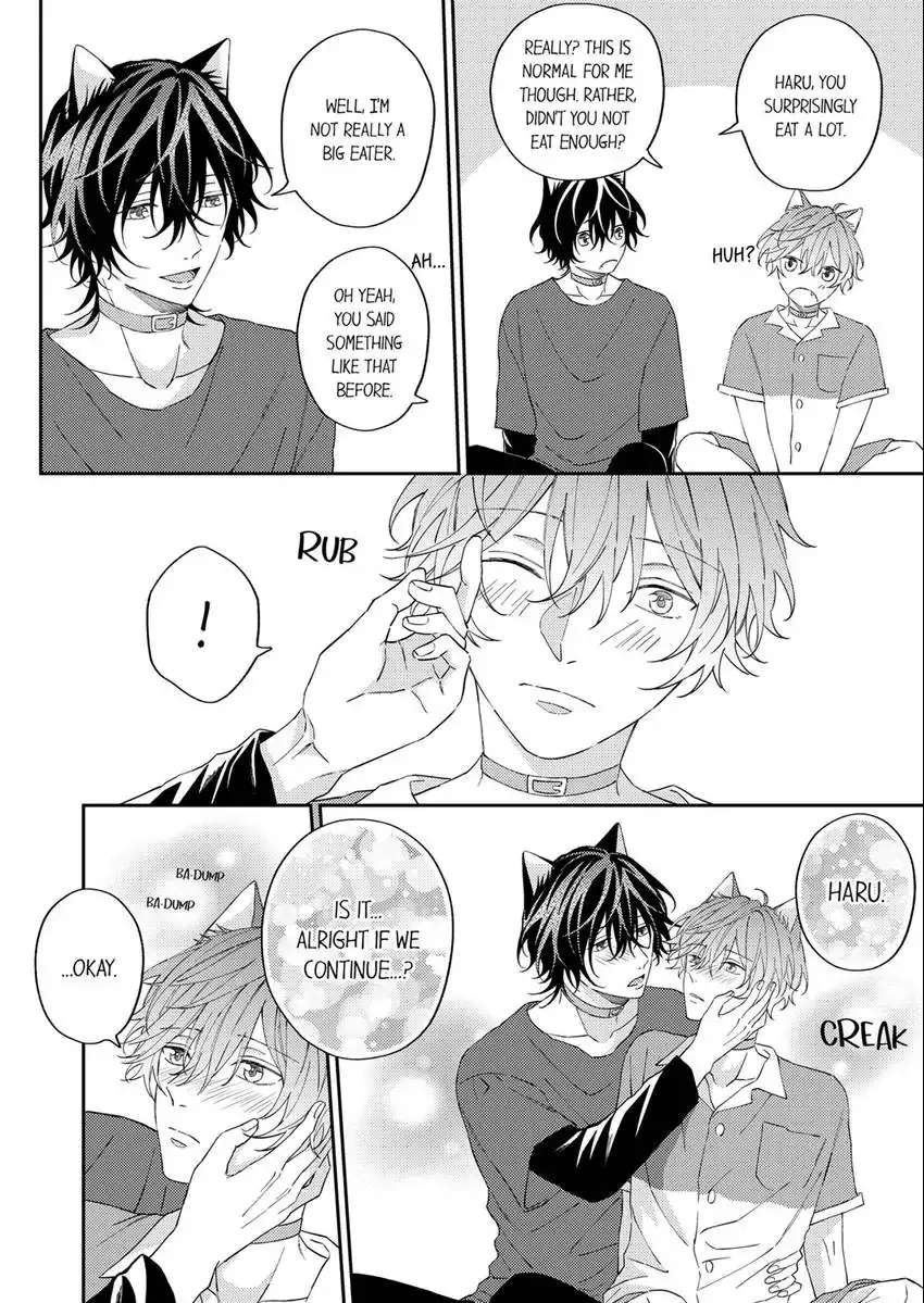 Haru To Rui No Nyanderful Love Life! - Chapter 11