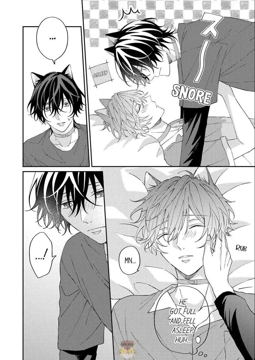 Haru To Rui No Nyanderful Love Life! - Chapter 11