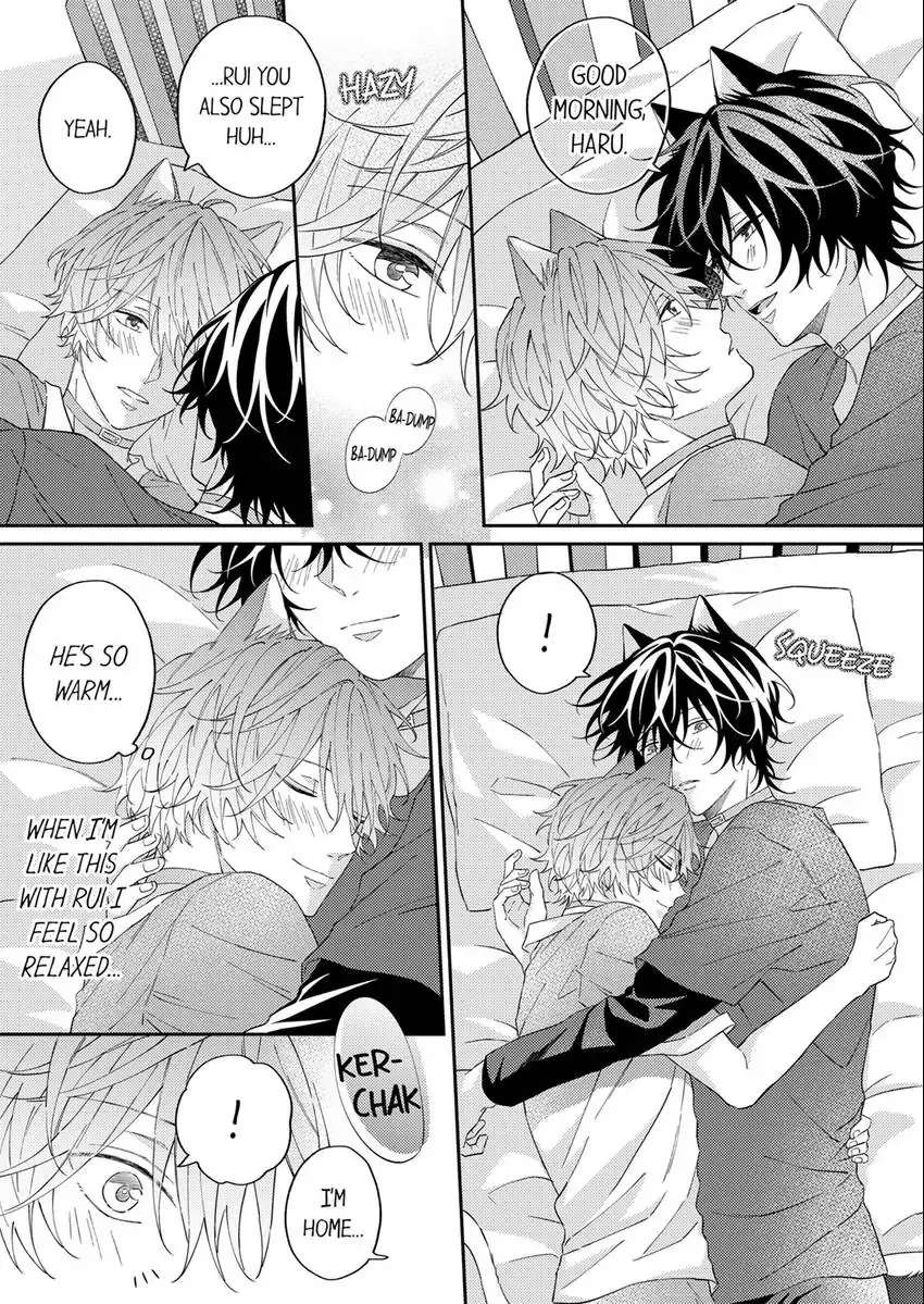 Haru To Rui No Nyanderful Love Life! - Chapter 12