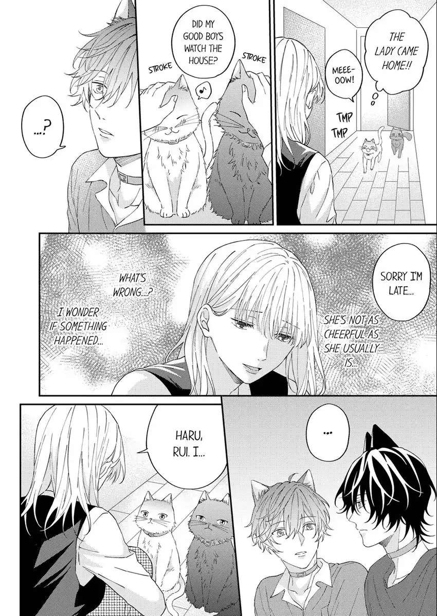 Haru To Rui No Nyanderful Love Life! - Chapter 12