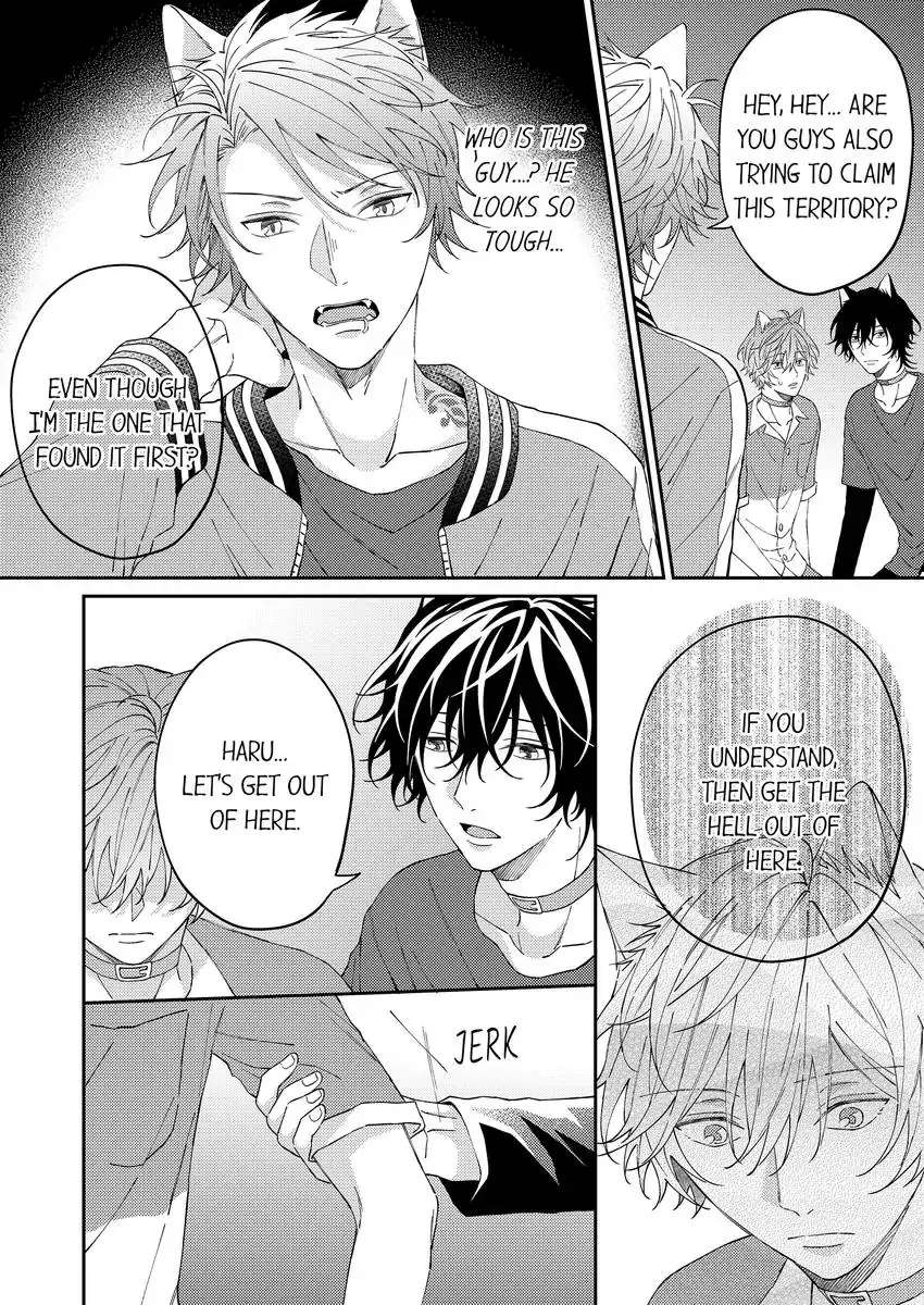 Haru To Rui No Nyanderful Love Life! - Chapter 14