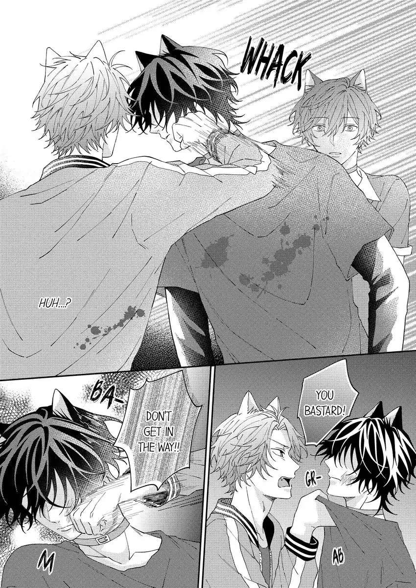 Haru To Rui No Nyanderful Love Life! - Chapter 14