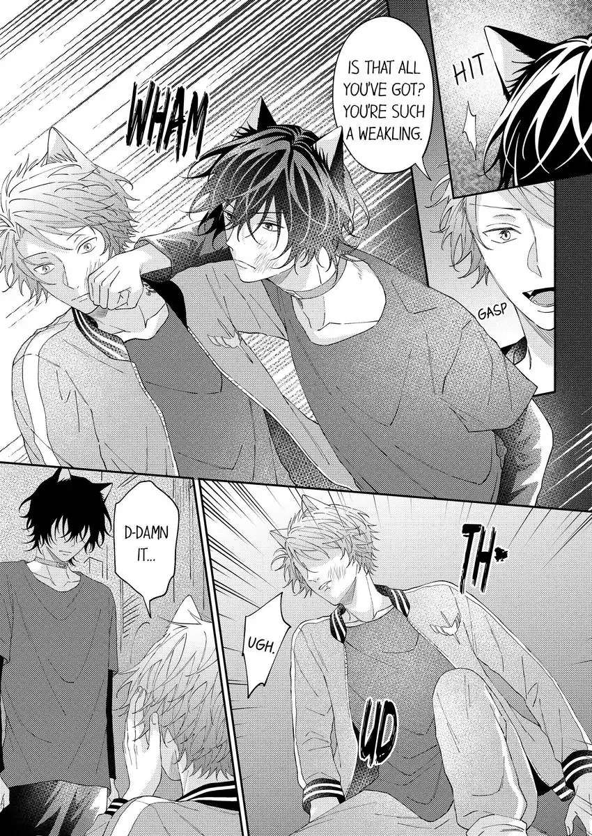 Haru To Rui No Nyanderful Love Life! - Chapter 14