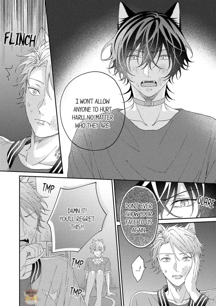 Haru To Rui No Nyanderful Love Life! - Chapter 14