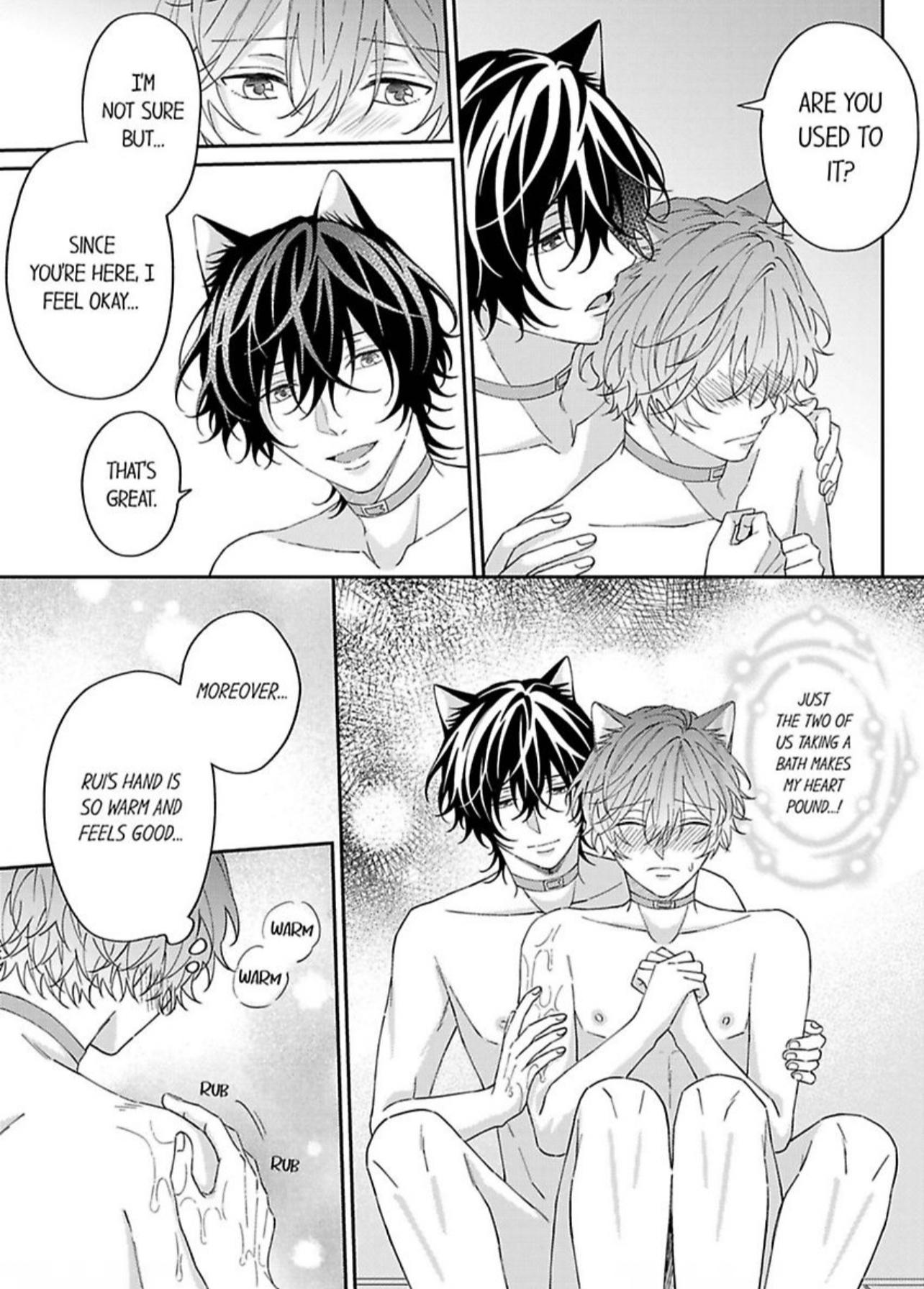 Haru To Rui No Nyanderful Love Life! - Chapter 4