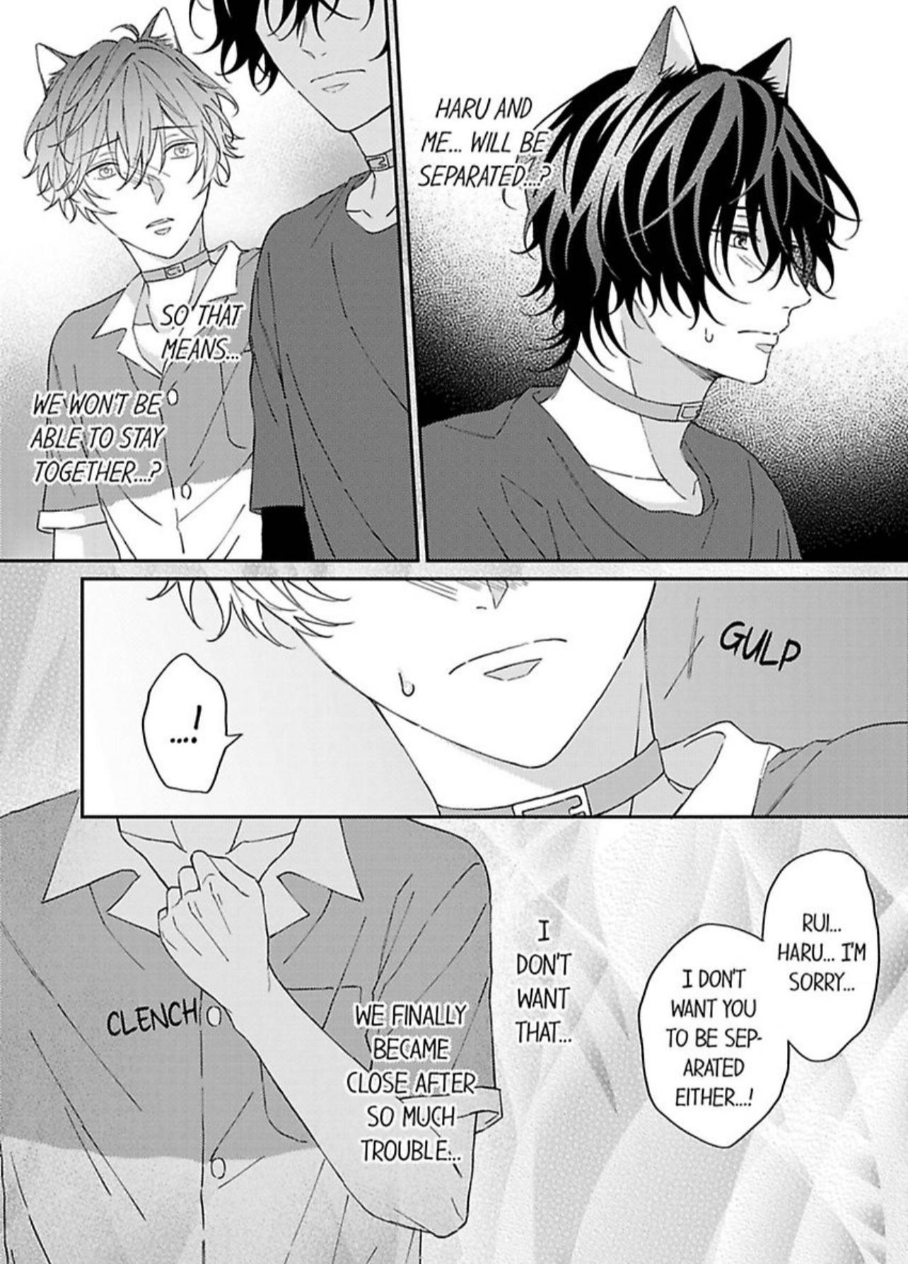 Haru To Rui No Nyanderful Love Life! - Chapter 4