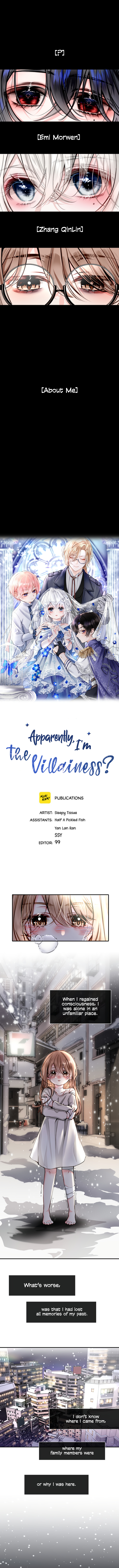 Apparently, I'm The Villainess? - Chapter 25: About Me