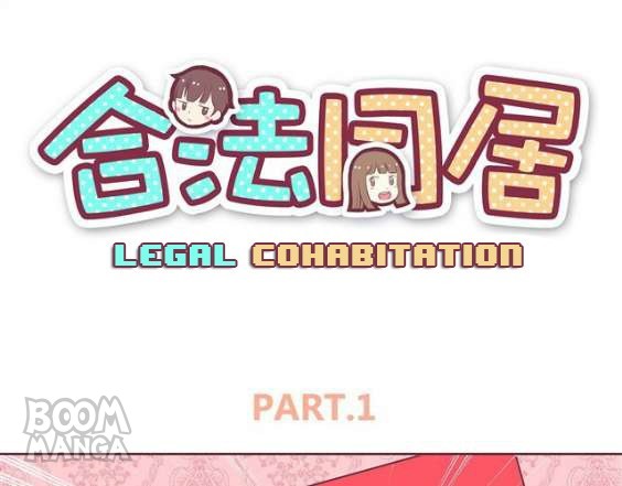 Legal Cohabitation - Chapter 1