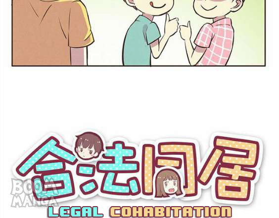 Legal Cohabitation - Chapter 16