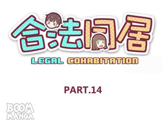 Legal Cohabitation - Chapter 15