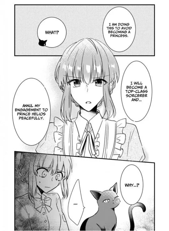 Gloomy Princess And The Black Cat's Peaceful Engagement Annulment - Chapter 1