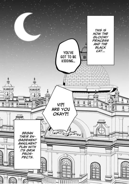 Gloomy Princess And The Black Cat's Peaceful Engagement Annulment - Chapter 1