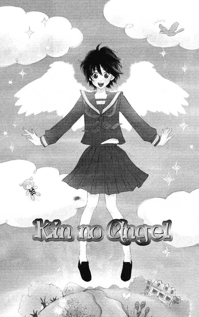 Kin No Angel - Vol.1 Chapter 2