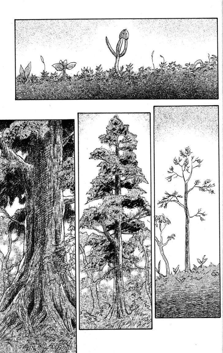 Mushishi - Vol.10 Chapter 47 : The Eternal Tree