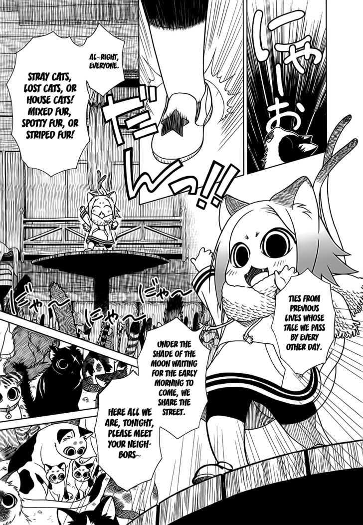 Nori Tama - Vol.1 Chapter 4 : The Night Gathering For Cats