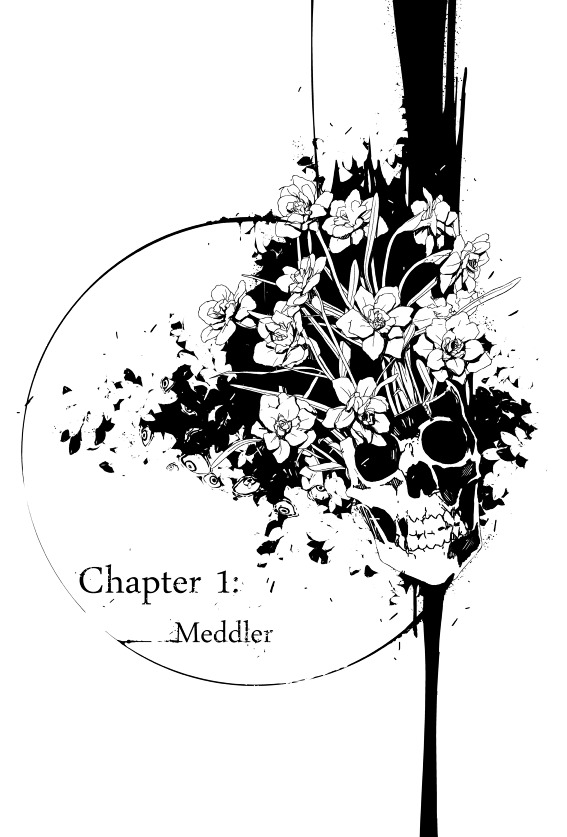 Echofreak - Vol.1 Chapter 1 : Meddler