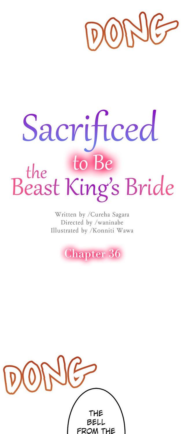 Sacrificed To Be The Beast King’s Bride - Chapter 36