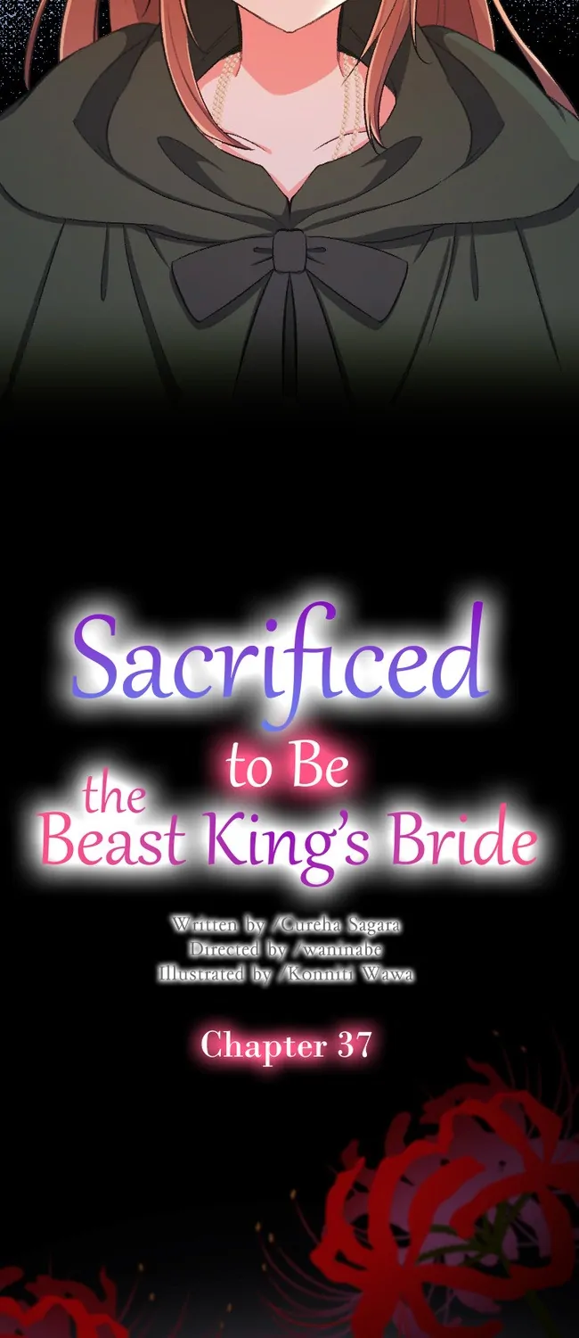 Sacrificed To Be The Beast King’s Bride - Chapter 37