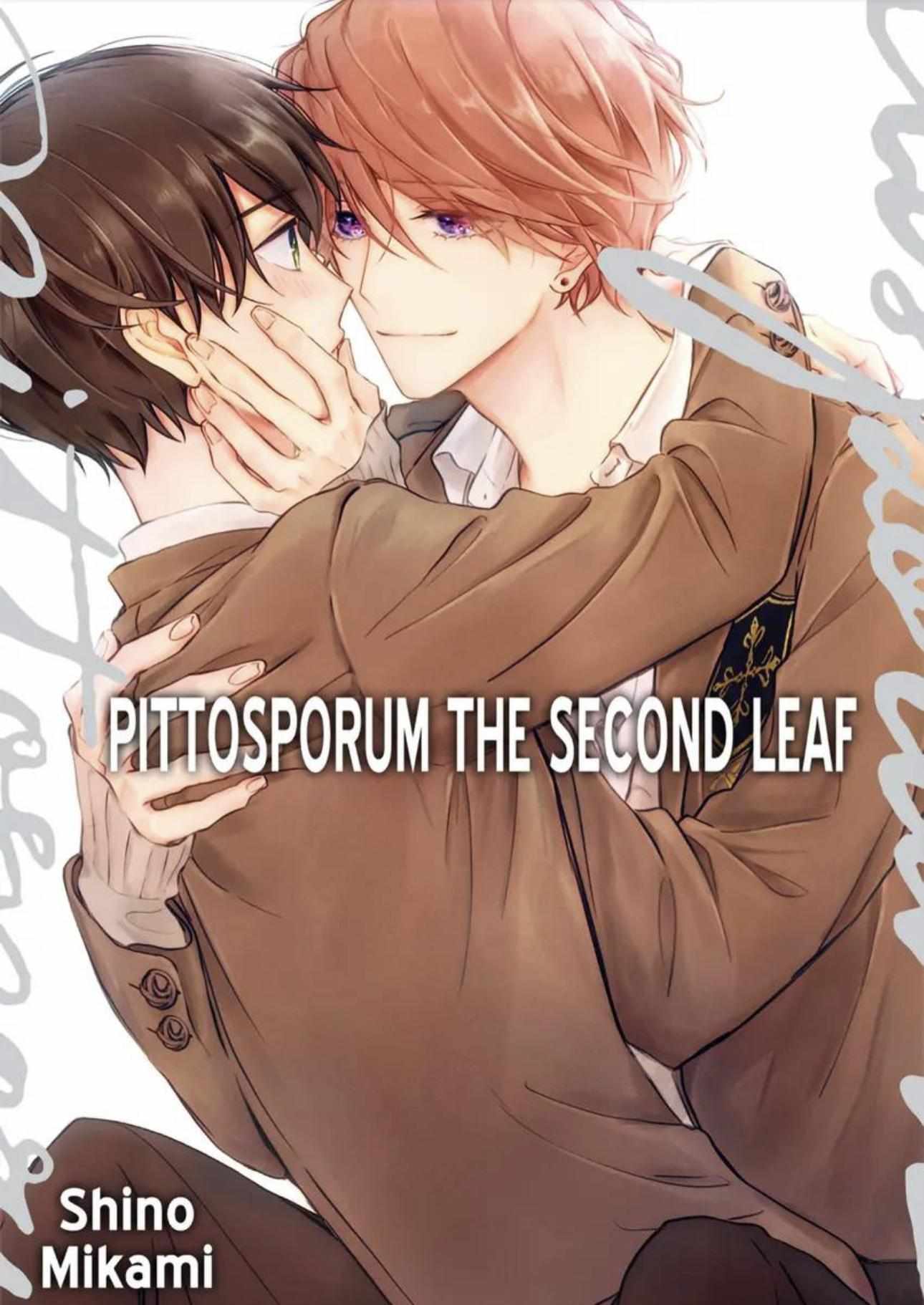 Pittosporum - Chapter 13