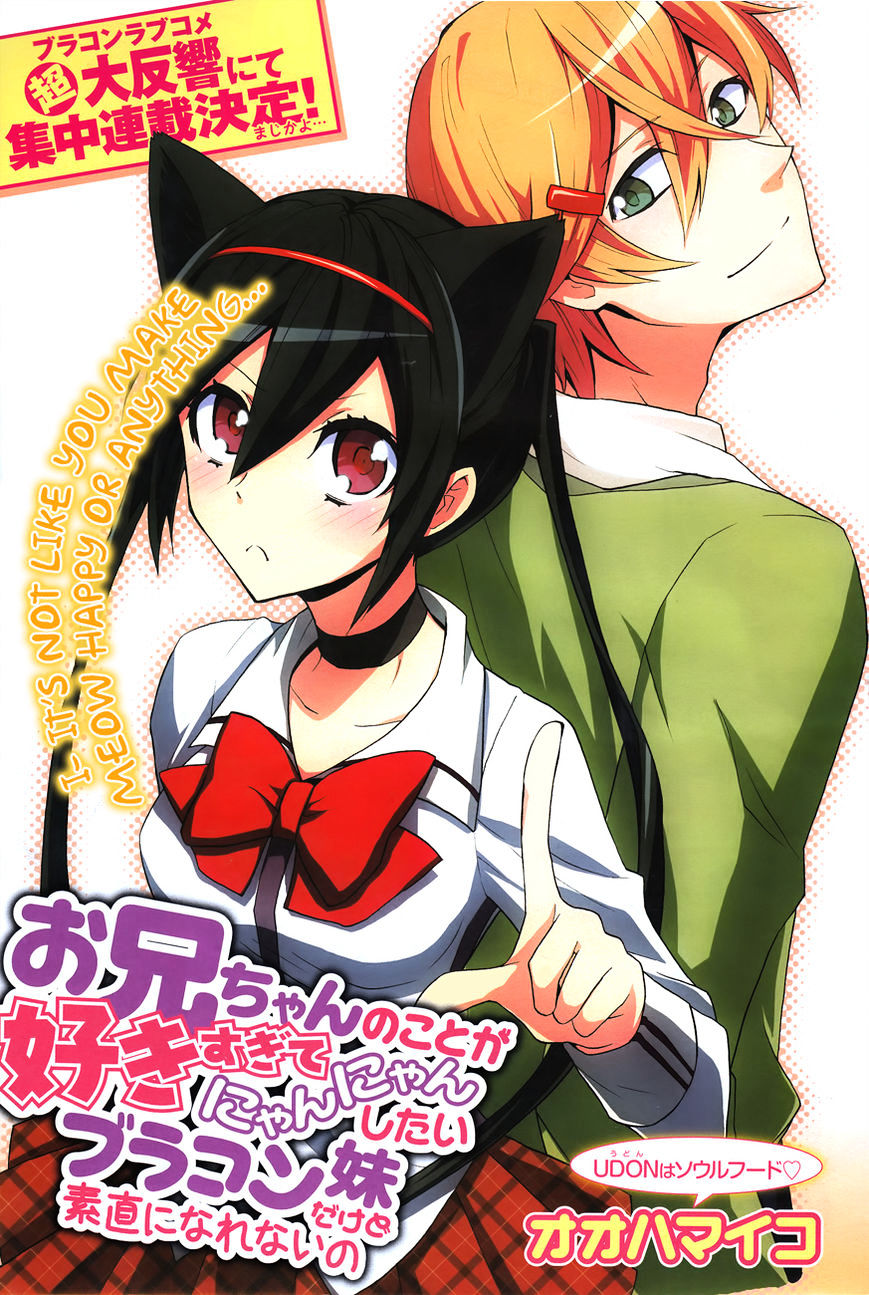 Oniichan No Koto Ga Suki Sugite Nyan Nyan Shitai Burakon Imouto Dakedo Sunao Ni Narenai No - Chapter 2 : Fixed