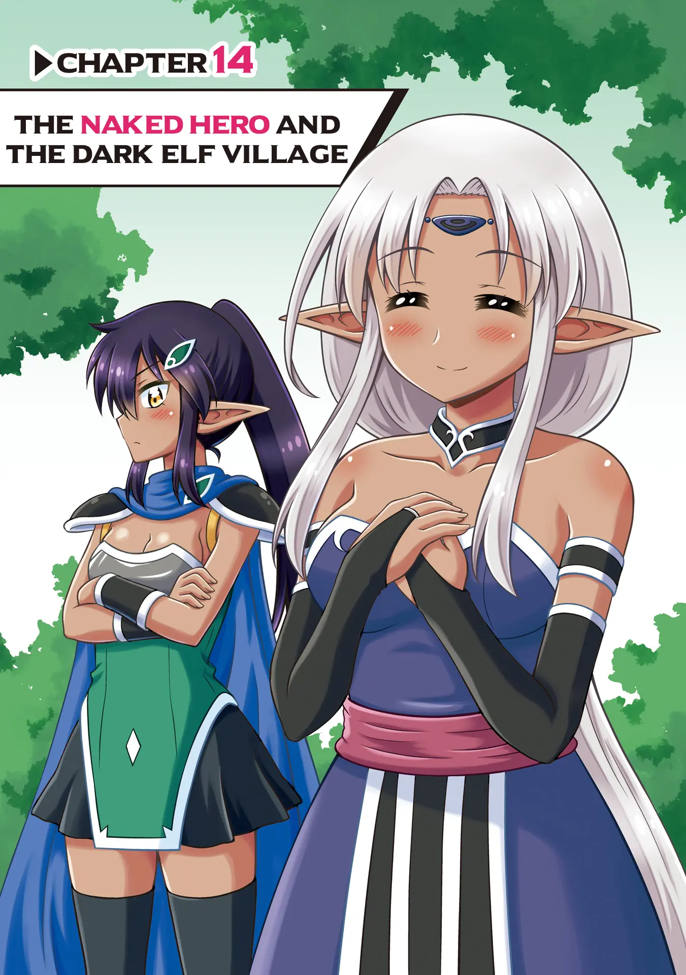 Don't Call Me A Naked Hero In Another World - Vol.3 Chapter 14: The Naked Hero And The Dark Elf Village