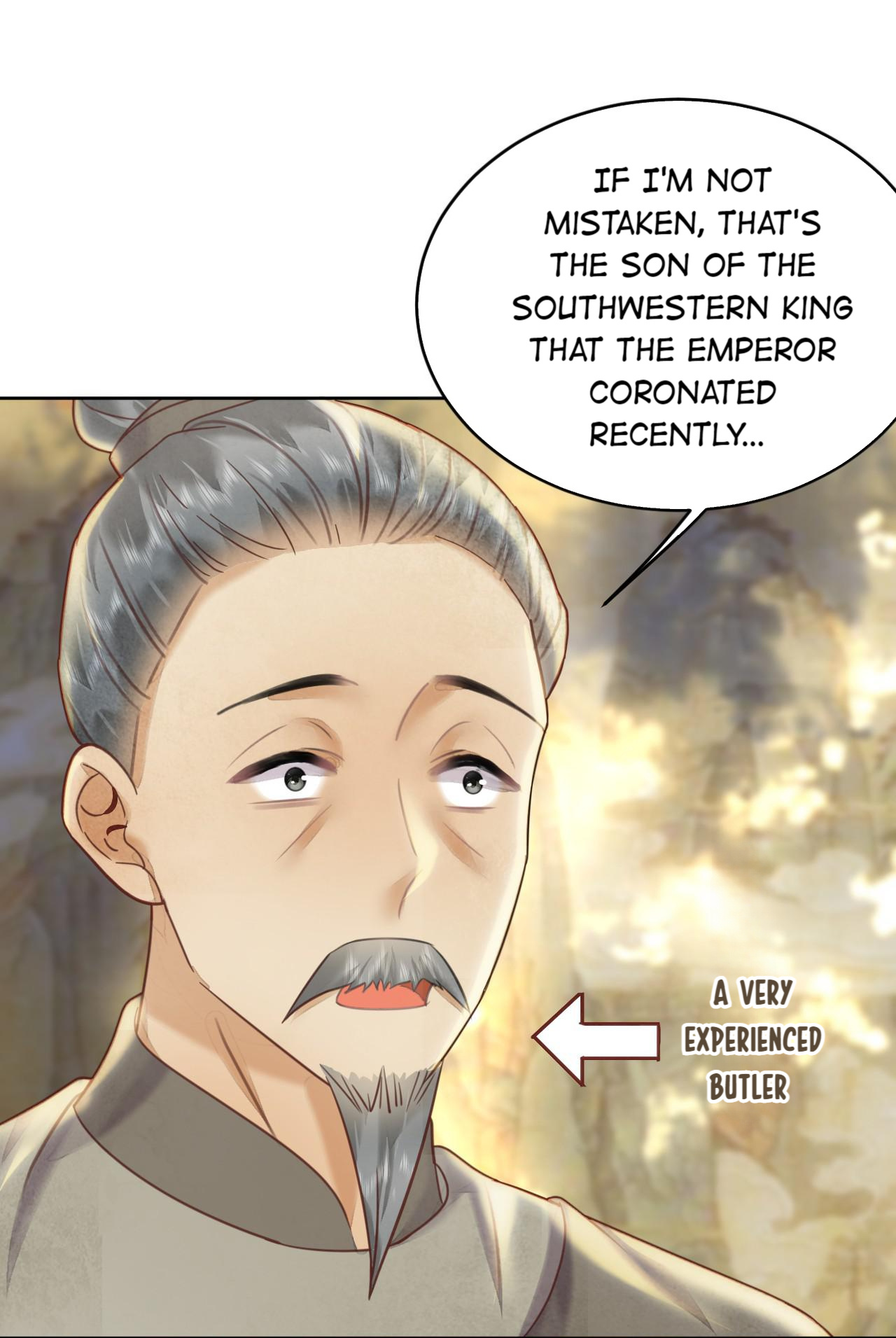 Husband, The Emperor's Position Is Mine! - Chapter 56: Southwestern Prince