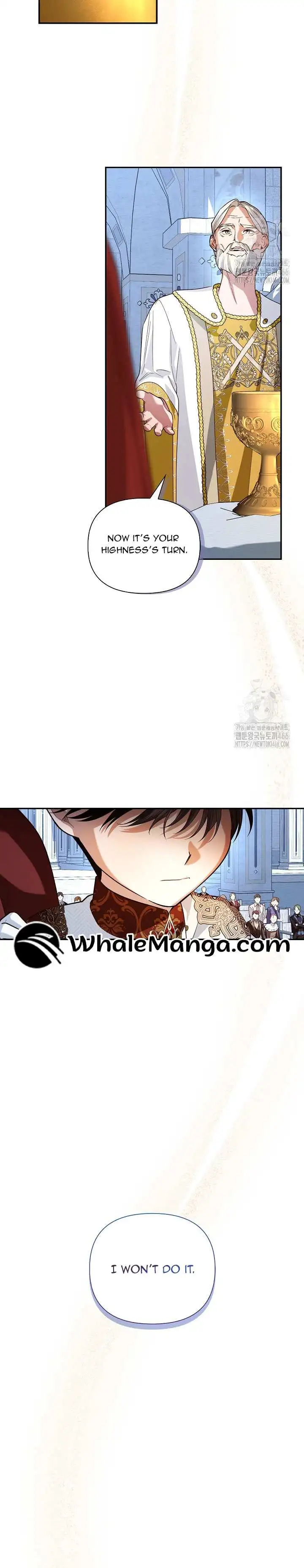 How To Hide The Emperor's Child - Chapter 110