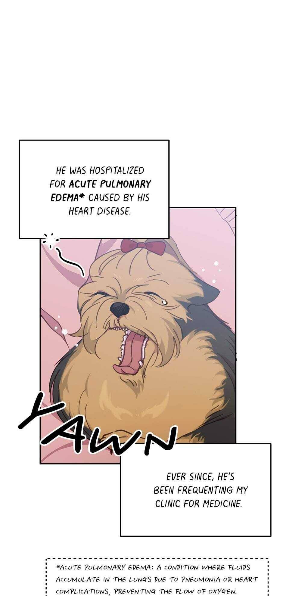 The Legendary Beasts Animal Hospital - Chapter 17