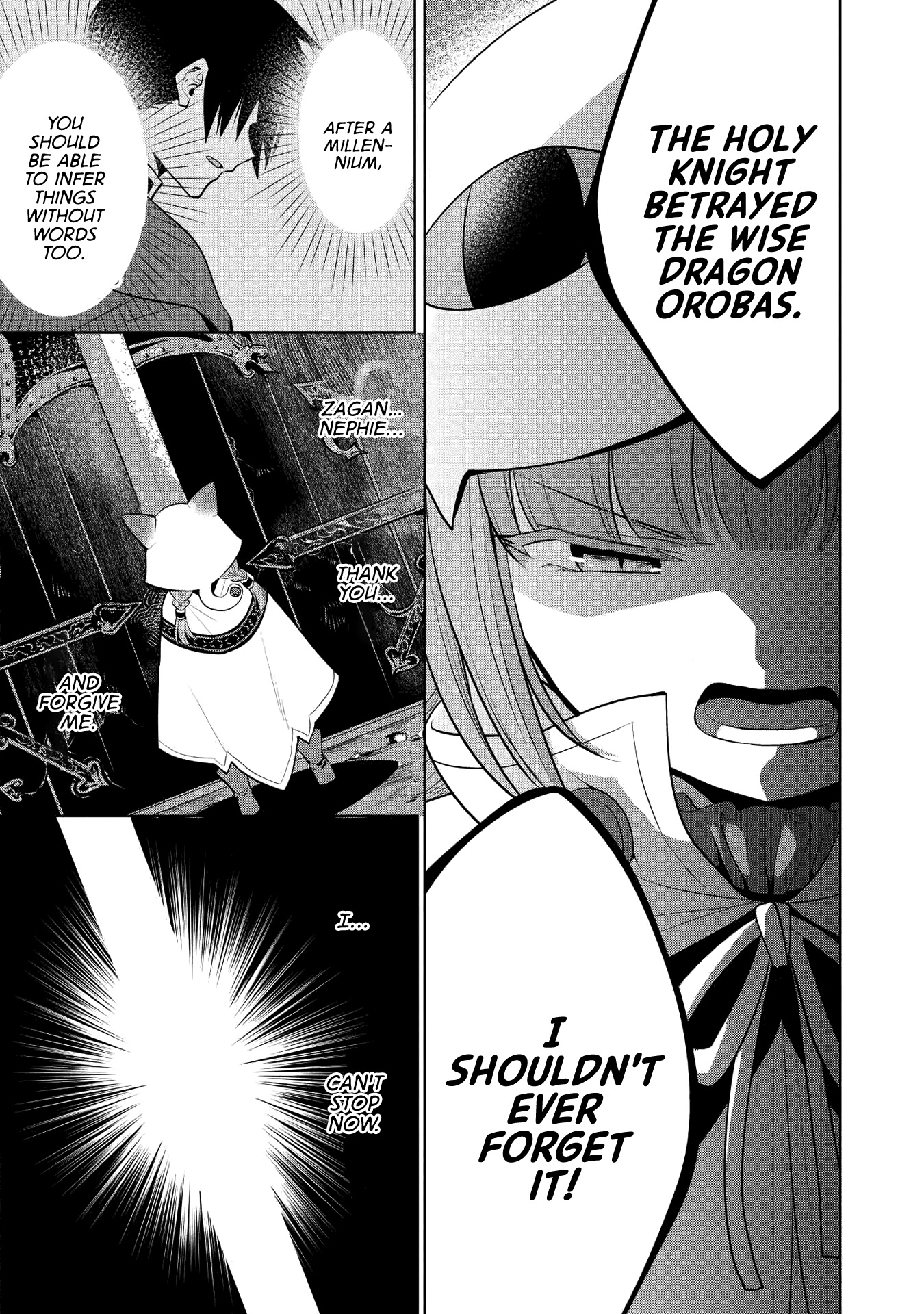 Maou No Ore Ga Dorei Elf Wo Yome Ni Shitanda Ga, Dou Medereba Ii? - Chapter 21: Even So, Defeating Evil Is A Holy Knight S Duty (1)