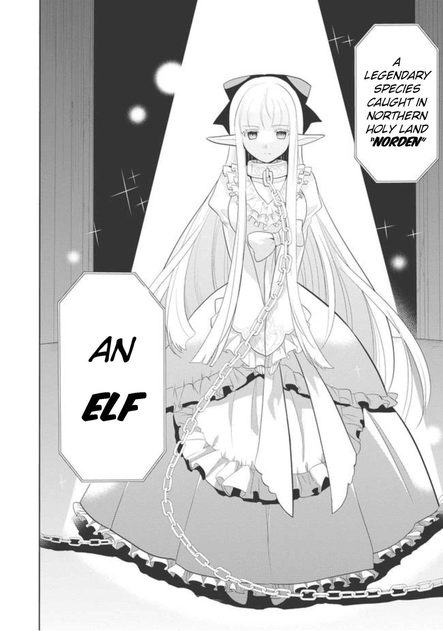 Maou No Ore Ga Dorei Elf Wo Yome Ni Shitanda Ga, Dou Medereba Ii? - Chapter 1