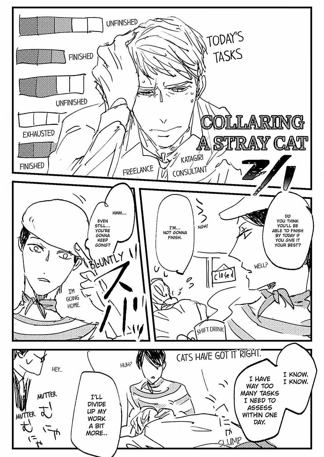 Collaring A Stray Cat - Chapter 7