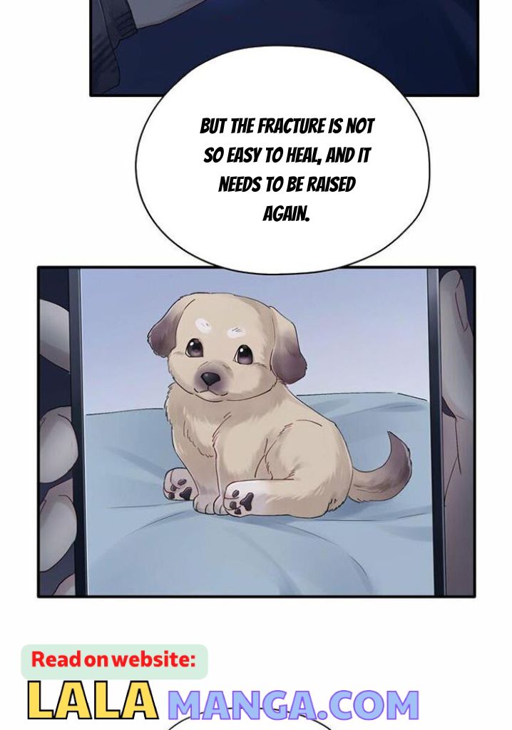 The Cold-Hearted Professor’s Loyal Puppy - Chapter 34