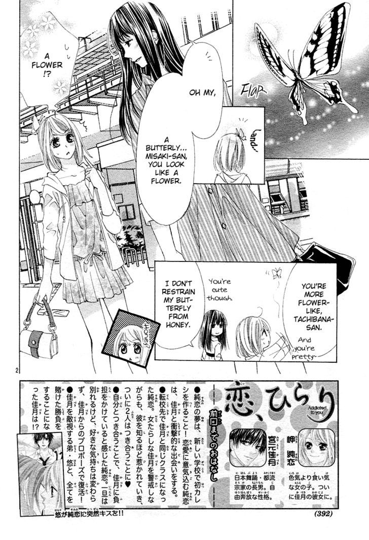 Koi, Hirari - Vol.2 Chapter 12 : The Butterfly And The Flower