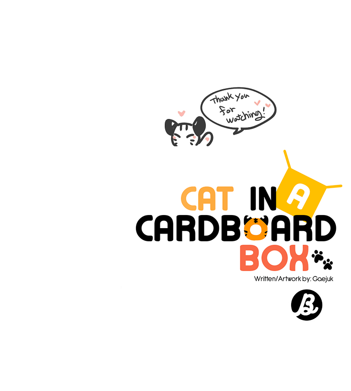 Cat In A Cardboard Box - Chapter 30: Epilogue