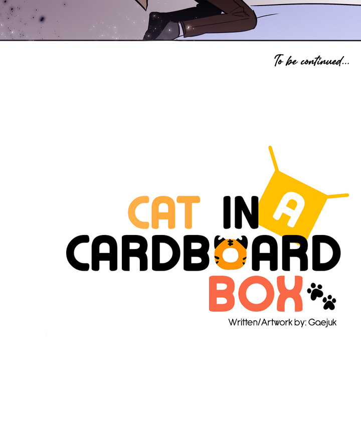 Cat In A Cardboard Box - Chapter 28