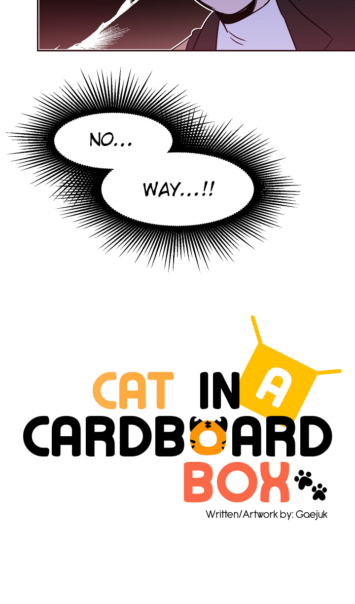 Cat In A Cardboard Box - Chapter 21