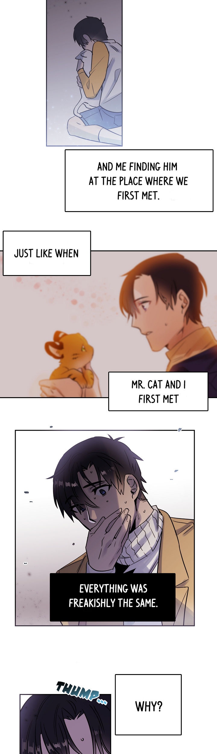 Cat In A Cardboard Box - Chapter 27