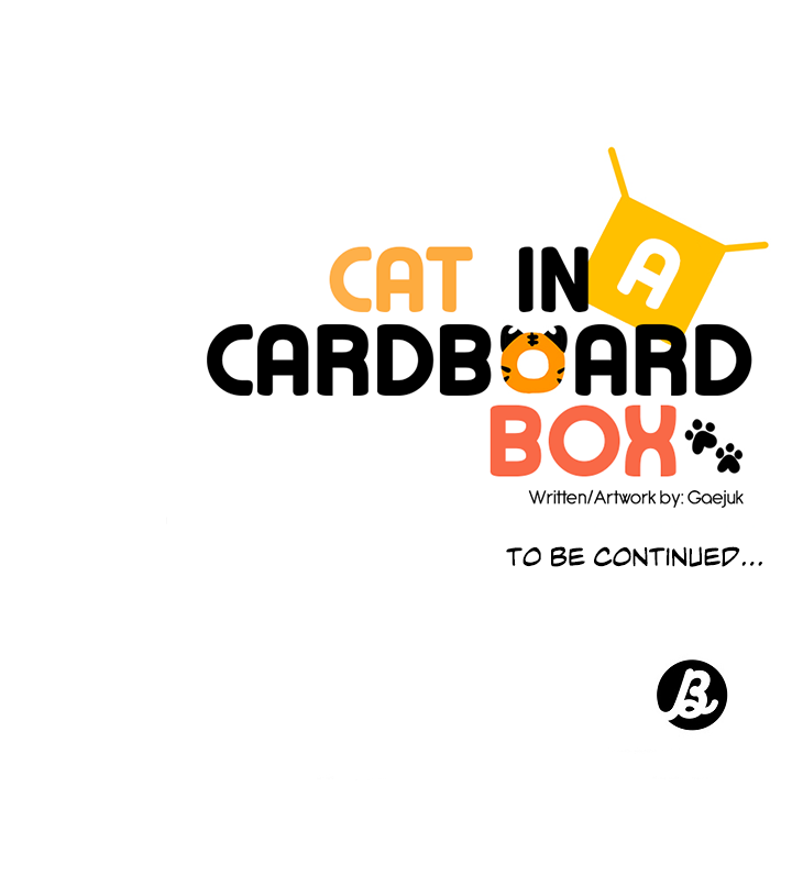 Cat In A Cardboard Box - Chapter 27