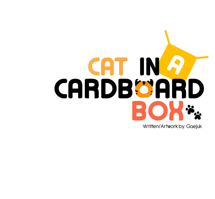 Cat In A Cardboard Box - Chapter 29