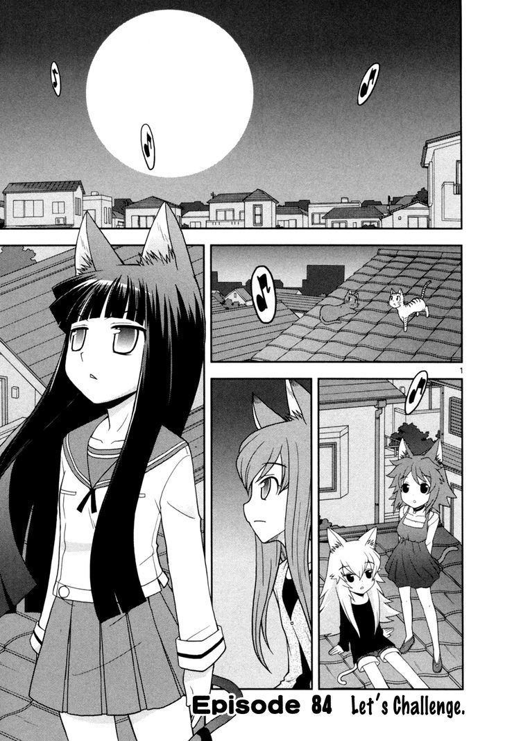 Koi Neko - Vol.11 Chapter 84 : Let's Challenge