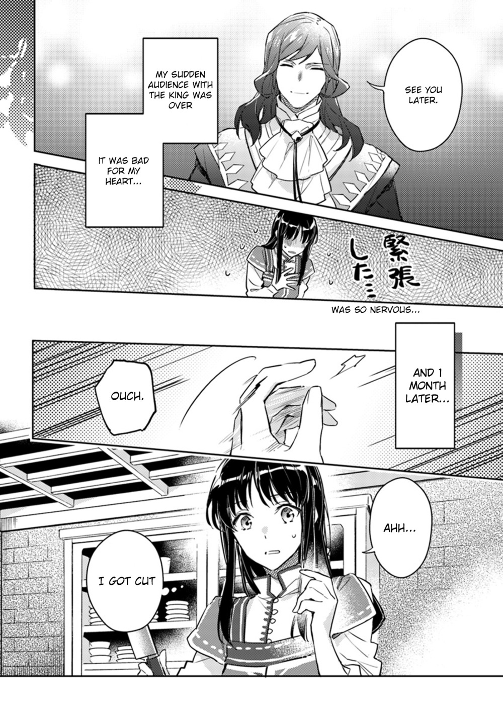 Seijo No Maryoku Wa Bannou Desu - Chapter 8.3