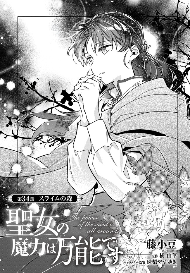 Seijo No Maryoku Wa Bannou Desu - Vol.8 Chapter 34: The Flower Of The Saintess Is All Around