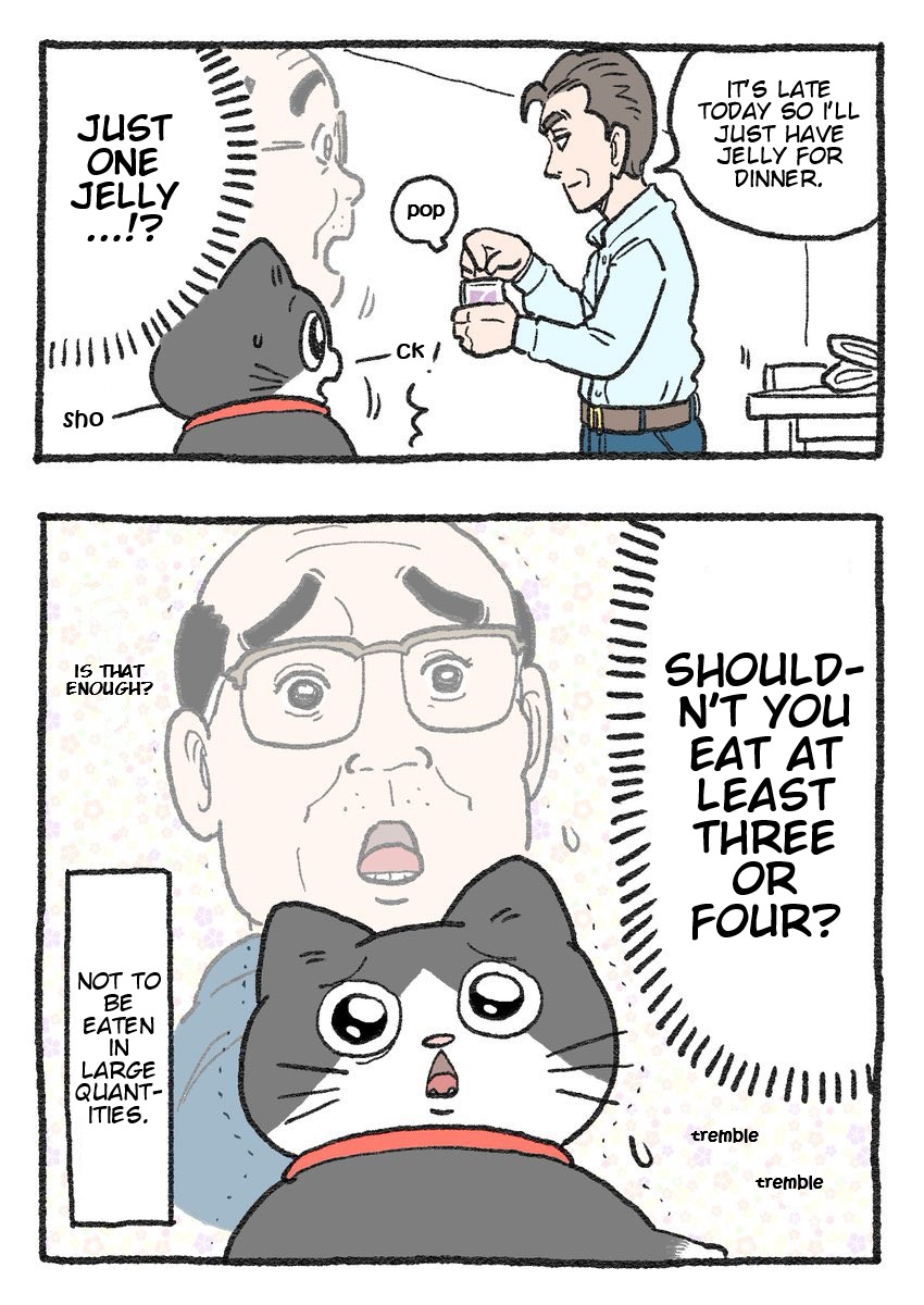 The Old Man Who Was Reincarnated As A Cat - Chapter 298.5: Family Mart Collab