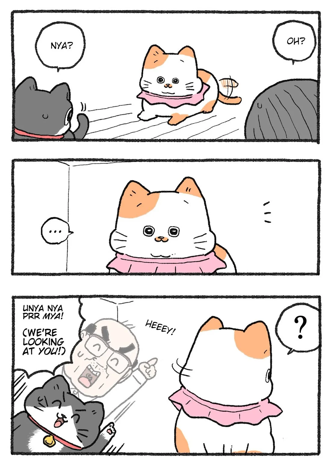 The Old Man Who Was Reincarnated As A Cat - Chapter 461