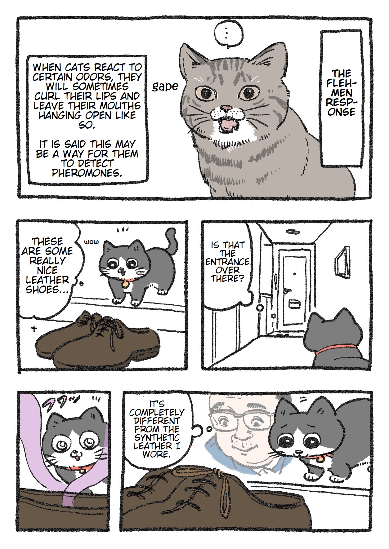 The Old Man Who Was Reincarnated As A Cat - Chapter 57