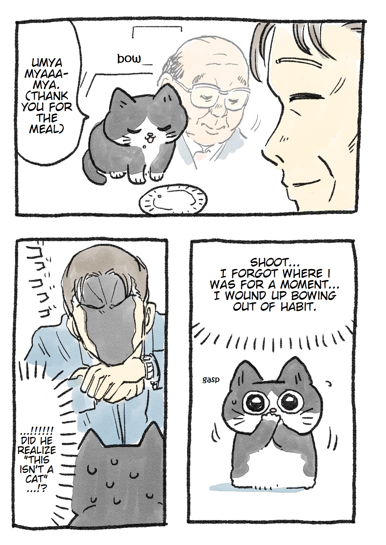 The Old Man Who Was Reincarnated As A Cat - Chapter 10