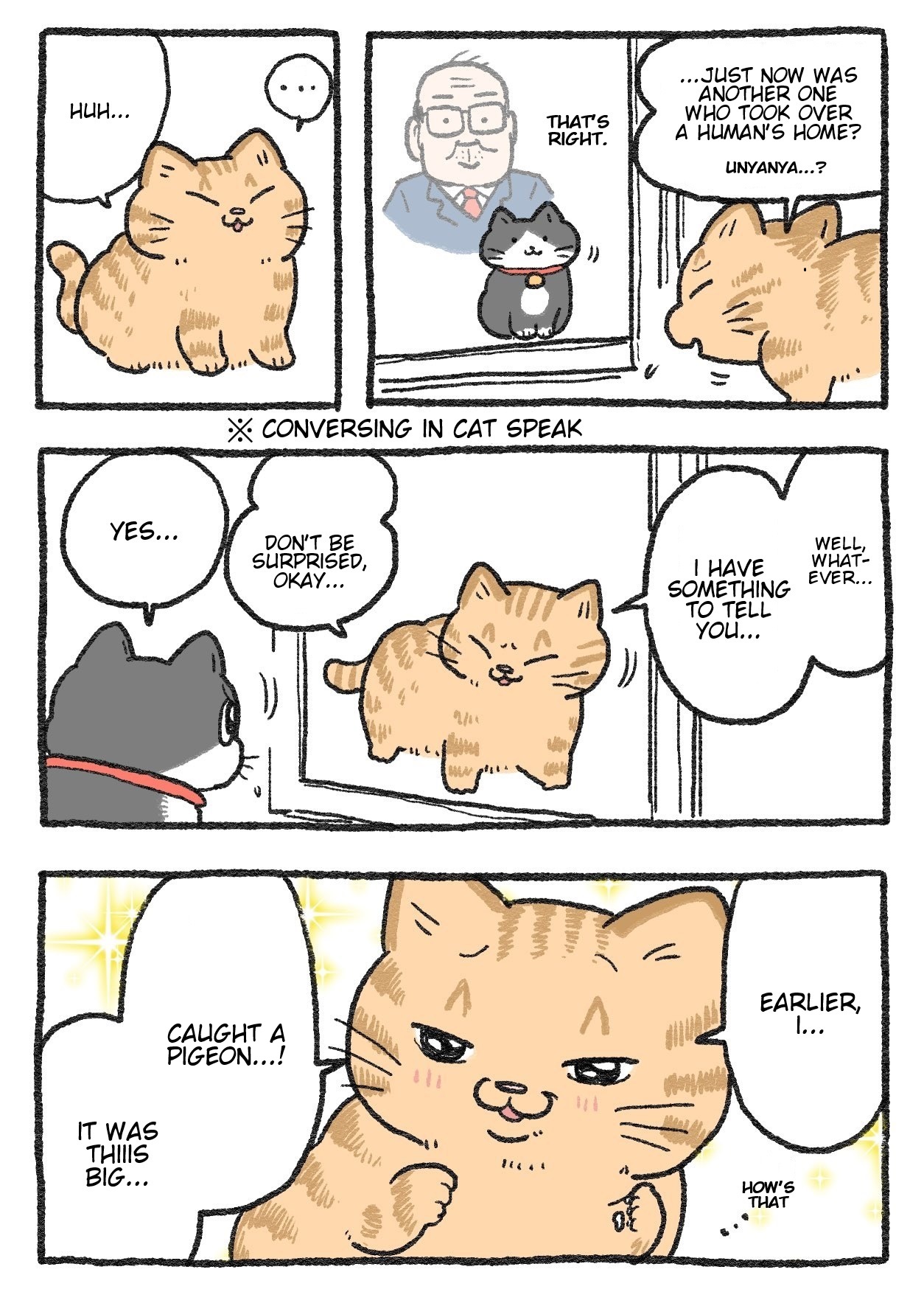 The Old Man Who Was Reincarnated As A Cat - Chapter 252