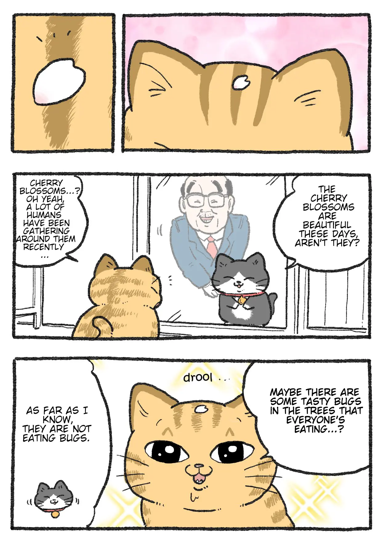 The Old Man Who Was Reincarnated As A Cat - Chapter 430